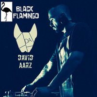 David Aarz present Black Flamingo  by David Aarz
