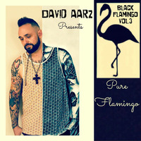 David Aarz presents PURE FLAMINGO 2-11-2017 by David Aarz