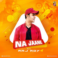 NA JAANE (REMIX) - DJ RAJ ROY by DJ Raj Roy