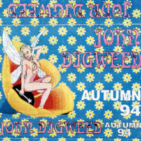 1994 -  John Digweed - Autumn Live Mix by Everybody Wants To Be The DJ