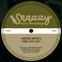 VIBE CUTS VOL.2 - Soul Jacka, Killimanjaro, Ilya T &amp; Snazzy Trax by Snazzy Trax(x)