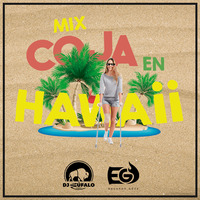 Mix Coja En Hawaii - DJ Bufalo x DJ Eduardo Goza by DJ Eduardo Goza