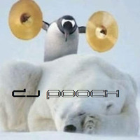 WRATH OF THE ARCTIC ASSHOLE-Arctic Chill Out MastahMyx by DJ Pooch by DJ Pooch