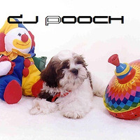 PLAYING WITH SOMEONE ELSE'S TOYZ-DJ Raw Heat Tribute Doggie Style &quot;Hard&quot; MastahMyx by DJ Pooch by DJ Pooch