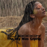 THE SKY WAS CRYING-The Dance Deluge MastahMyx by DJ Pooch by DJ Pooch