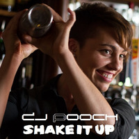 SHAKE IT UP-The Master Mixologist MastahMyx by DJ Pooch by DJ Pooch