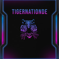 Techno 2019 #TigerNationDE