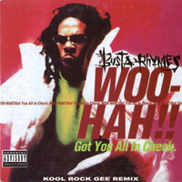 Busta Rhymes - Woo Hah!! (Kool Rock Gee Remix) by Gee