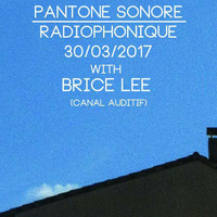2017-03-30 - Brice Lee - Vinyl minimix @ RadioRadio Toulouse by Brice Lee