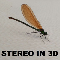 04-07-2019 | Stereo In 3D Radioshow: Dj YenCee - Oldskool Breakbeat Hardcore by StereoIn3D Radioshow
