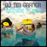 Welcome To Ibiza by TIM DICE