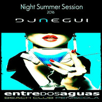 ENTREdosAGUAS NIGHT SUMMER SESSION 2016 by DJ.-NEGUI