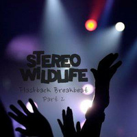 Flashback Breakbeat Part 2 by Stereo Wildlife