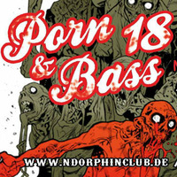 Sick Noize feat. MC Rob K @ Porn &amp; Bass 18 by Sick Noize