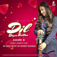 Dil Diyan Gallan (Sweet Groovy Mix) - Gauri Amit B, DJ Amit B Ft. DJ Sunny Raheja by AIDC