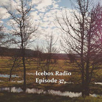 Icebox Radio Podcast Episode 37 by Altered Phoenix