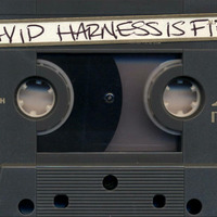 DJ David Harness - David Harness Is Fierce by ninetiesDJarchives