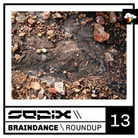Braindance Roundup Thirteen by Sepix