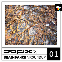 Braindance Roundup One by Sepix