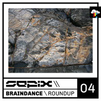 Braindance Roundup Four by Sepix