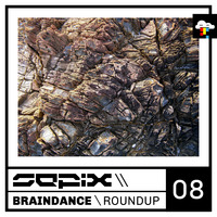 Braindance Roundup Eight by Sepix
