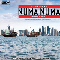 Numa Numa (House Mix) DJ Sarfraz by AIDM