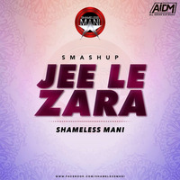 Jee le Zara 2019 - SHAMELESS MANI SMASHUP by AIDM
