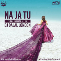 Na Ja Tu (Moombahton Mix) - DJ Dalal London by ALL INDIAN DJS MUSIC