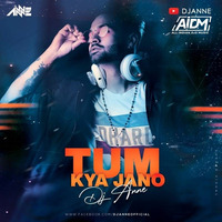 Tum Kya Janno (Retro Mix) - DJ Anne by AIDM