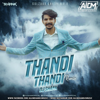 THANDI THANDI - GULZAAR CHHANIWALA (REMIX) - DJ SHANK by AIDM