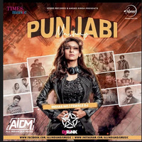 Punjabi Mashup - DJ Rink by AIDM