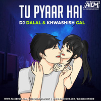 Tu Pyaar Hai - DJ Dalal London ft. Khwashish Gal by ALL INDIAN DJS MUSIC
