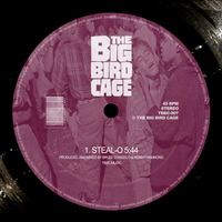 THE BIG BIRD CAGE - STEAL-O (FREE DOWNLOAD) by The Big Bird Cage