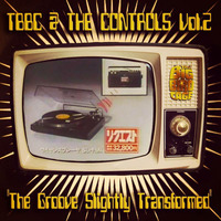 TBBC @ THE CONTROLS - VOL.2 ''The Groove Slightly Transformed'' (The Big Bird Cage In The Mix) by The Big Bird Cage
