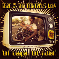  TBBC @ THE CONTROLS - VOL.4 ''Bit Deeper, Bit Ruffah'' (The Big Bird Cage In The Mix) by The Big Bird Cage