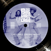 THE BIG BIRD CAGE - NEW DANCE (Instant Groove Records) by The Big Bird Cage