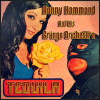 Ronny Hammond &amp; His Gringo Orchestra - Tequila by Ronny Hammond