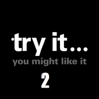 Try it you might like it 2 (And why not) Mp3 by Stevie D