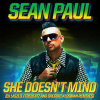 She Doesn't Mind (DJ Laszlo Radio Edit) by DJ Laszlo (Official)