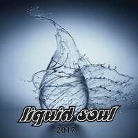 Liquid Soul 2017 by Funky Monkey