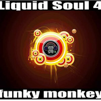 Liquid soul 4 by Funky Monkey