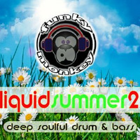 Liquid summer 2 by Funky Monkey