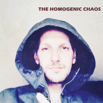 The Homogenic Chaos