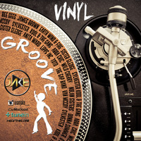 Vinyl: Groove Edition by Jake Hoff