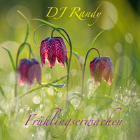 30. DJ Randy - Frühlingserwachen 18.03.2017 by DJ Randy