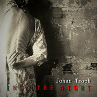 Into The Night by Johan Troch