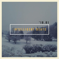 Intelligent beats '18.01 by STE
