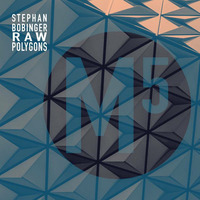 Stephan Bobinger - Raw Polygons by Stephan Bobinger
