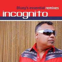 Incognito ~ That's The Way Of The World [Ski Oakenfull Vs Incognito Remix] by Ramón Valls