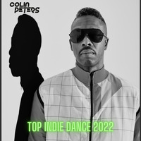 Colin Peters - TOP INDIE DANCE 2022 by Colin Peters